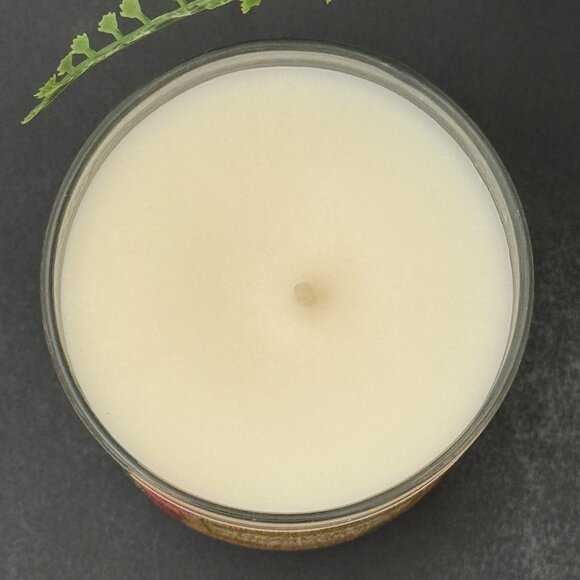 BBW Calypso Clementine Bath & Body Works Single Wick Candle - Picture 7 of 10